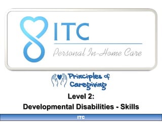 Level 2:
Developmental Disabilities - Skills
                ITC
 