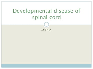 A N D R E A
Developmental disease of
spinal cord
 