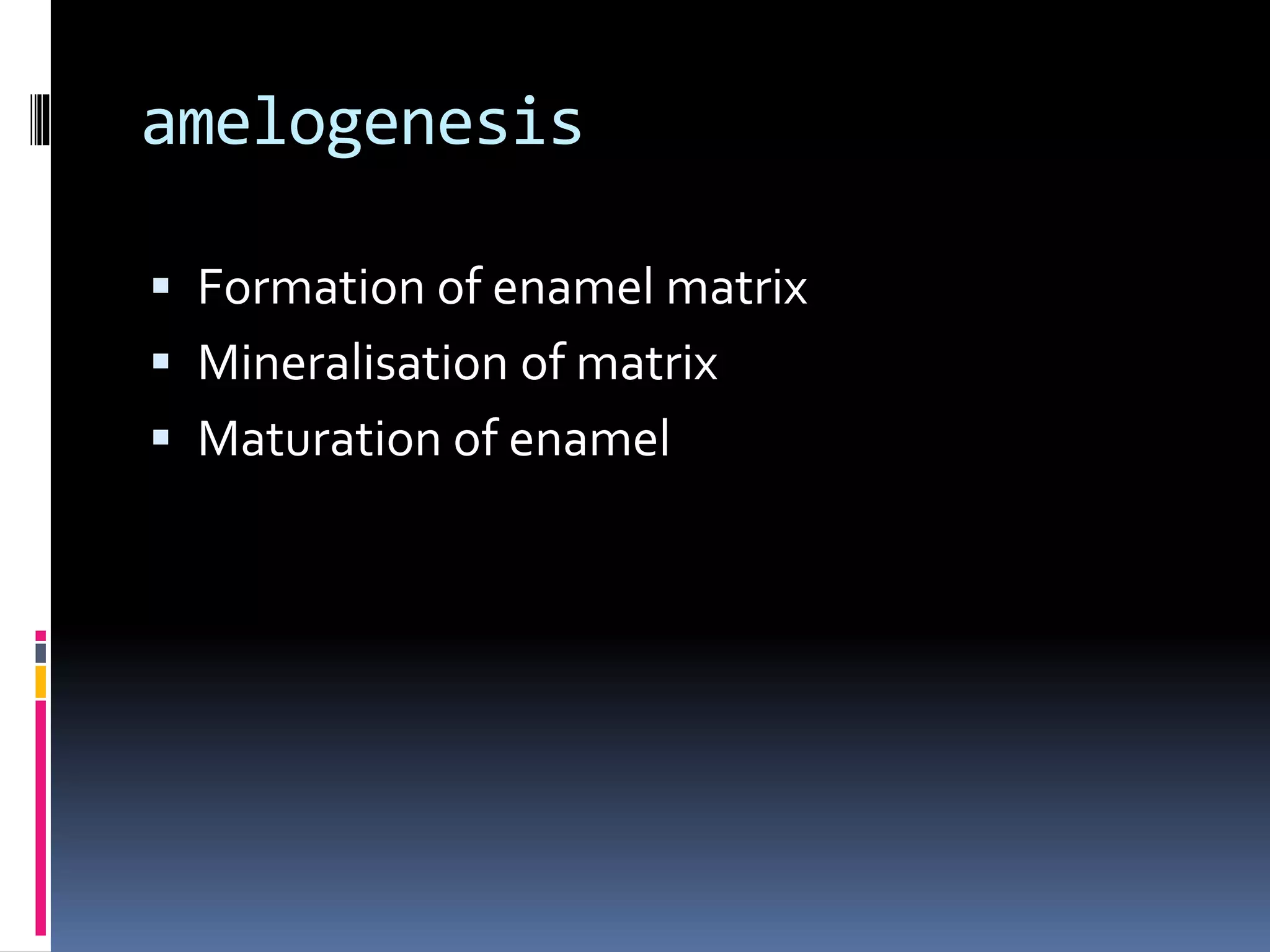 amelogenesis
 Formation of enamel matrix
 Mineralisation of matrix
 Maturation of enamel
 