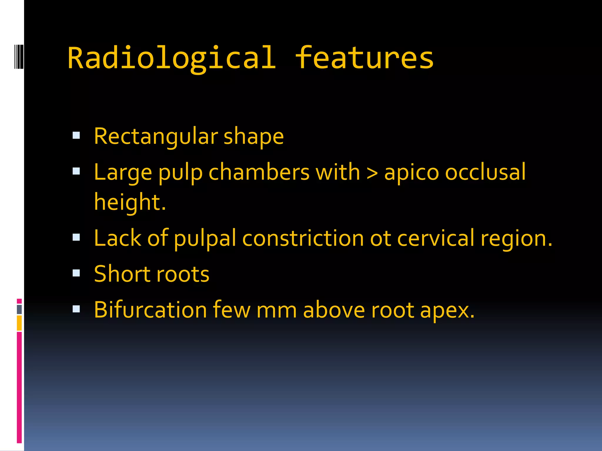 Radiological features
 Rectangular shape
 Large pulp chambers with > apico occlusal
height.
 Lack of pulpal constriction ot cervical region.
 Short roots
 Bifurcation few mm above root apex.
 
