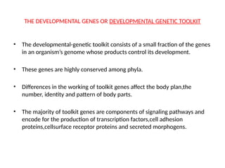 DEVELOPMENTAL GENES AND GENE CO-OPTION.pptx