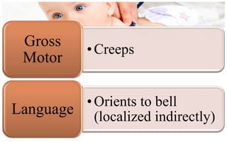 Gross     • Creeps
 Motor

         • Orients to bell
Language (localized indirectly)
 