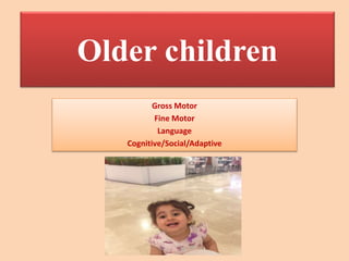 Gross Motor
Fine Motor
Language
Cognitive/Social/Adaptive
Older children
 