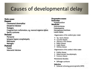 Causes of developmental delay
 