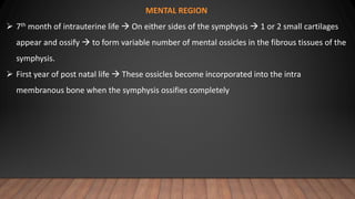 MENTAL REGION
 7th month of intrauterine life  On either sides of the symphysis  1 or 2 small cartilages
appear and ossify  to form variable number of mental ossicles in the fibrous tissues of the
symphysis.
 First year of post natal life  These ossicles become incorporated into the intra
membranous bone when the symphysis ossifies completely
 