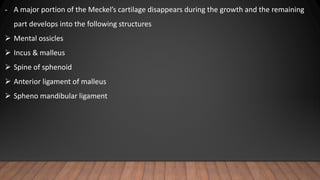 - A major portion of the Meckel’s cartilage disappears during the growth and the remaining
part develops into the following structures
 Mental ossicles
 Incus & malleus
 Spine of sphenoid
 Anterior ligament of malleus
 Spheno mandibular ligament
 