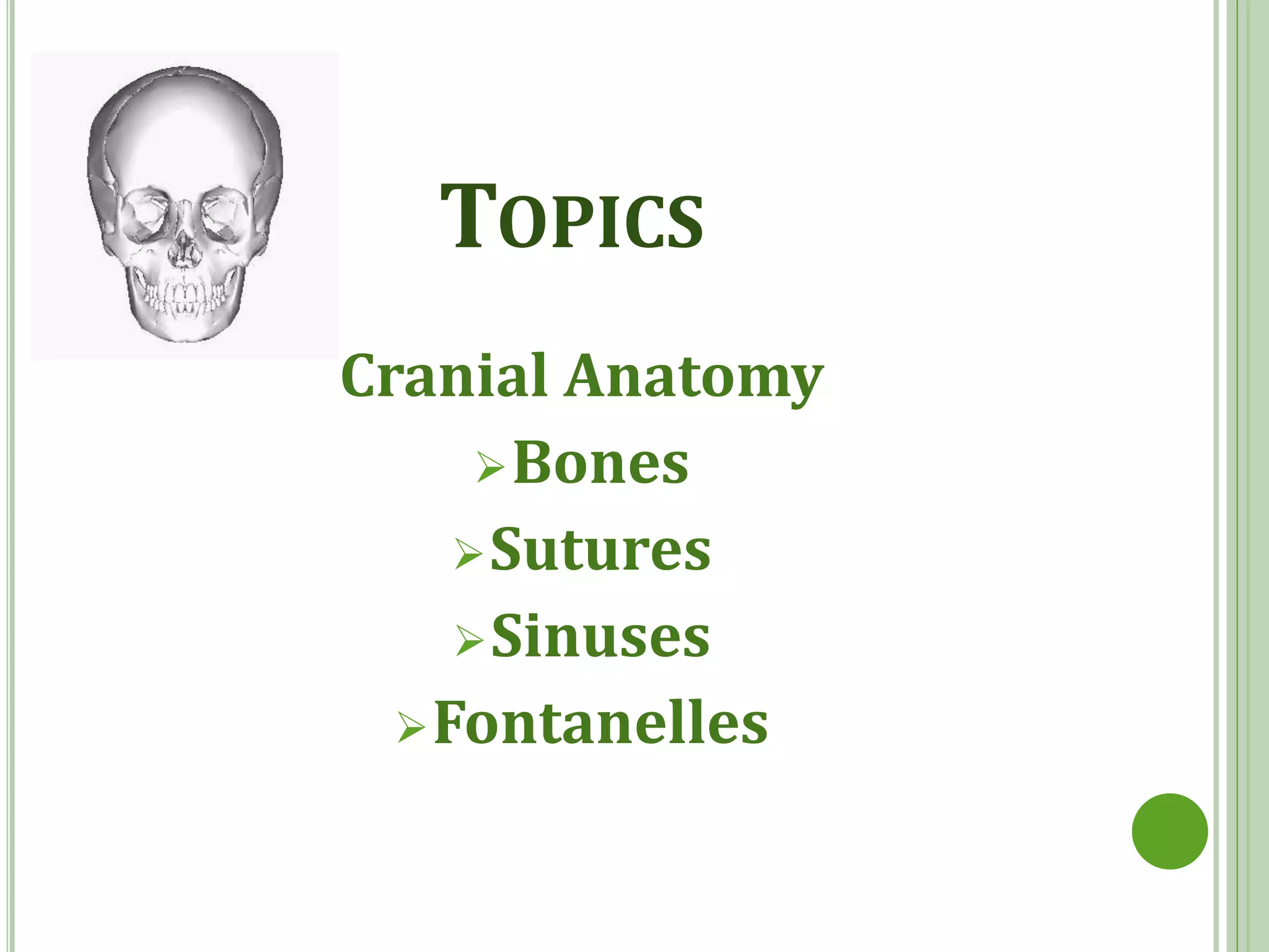 anatomy of human skull | PPTX