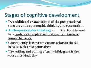 Stages of cognitive development
 Two additional characteristics of the preoperational
stage are anthropomorphic thinking and egocentrism.
 Anthropomorphic thinking ( ) is characterized
by a tendency to explain natural events in terms of
human behavior.
 Consequently, leaves turn various colors in the fall
because Jack Frost paints them.
 The huffing and puffing of an invisible giant is the
cause of a windy day.
 
