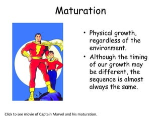 Maturation 
• Physical growth, 
regardless of the 
environment. 
• Although the timing 
of our growth may 
be different, the 
sequence is almost 
always the same. 
Click to see movie of Captain Marvel and his maturation. 
 