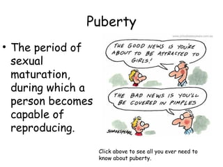 Puberty 
• The period of 
sexual 
maturation, 
during which a 
person becomes 
capable of 
reproducing. 
Click above to see all you ever need to 
know about puberty. 
 