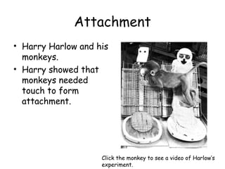 Attachment 
• Harry Harlow and his 
monkeys. 
• Harry showed that 
monkeys needed 
touch to form 
attachment. 
Click the monkey to see a video of Harlow’s 
experiment. 
 