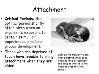 Attachment 
• Critical Periods: the 
optimal period shortly 
after birth when an 
organism’s exposure to 
certain stimuli or 
experiences produce 
proper development. 
• Those who are deprived of 
touch have trouble forming 
attachment when they are 
older. 
Click on the monkey to see 
what a baby monkey does 
when he HAS attachment 
and imagine what it is like 
when he does not (like 
above). 
 