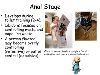 Anal Stage 
• Develops during 
toilet training (2-4). 
• Libido is focused on 
controlling waste and 
expelling waste. 
• A person fixated 
may become overly 
controlling 
(retentive) or out of 
control (expulsive). 
Click to see a classic example of anal 
retentive and anal expulsive behaviors. 
 