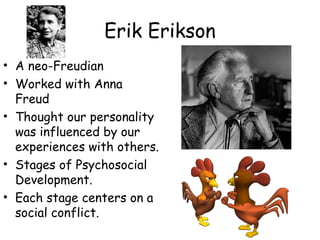 Erik Erikson 
• A neo-Freudian 
• Worked with Anna 
Freud 
• Thought our personality 
was influenced by our 
experiences with others. 
• Stages of Psychosocial 
Development. 
• Each stage centers on a 
social conflict. 
 