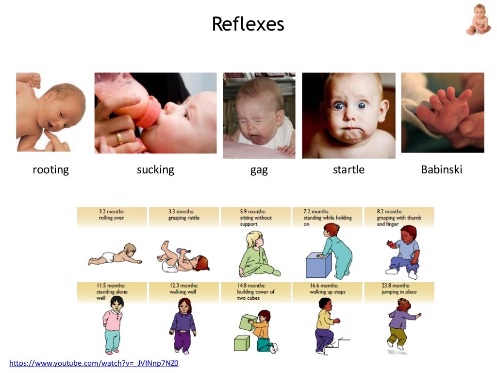 Developmental psychology