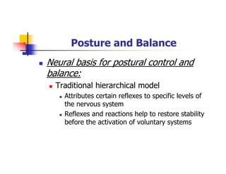 Posture and Balance
Neural basis for postural control and
balance:
Traditional hierarchical model
Attributes certain reflexes to specific levels of
the nervous system
Reflexes and reactions help to restore stability
before the activation of voluntary systems
 
