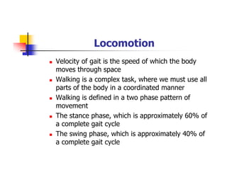 Locomotion
Velocity of gait is the speed of which the body
moves through space
Walking is a complex task, where we must use all
parts of the body in a coordinated manner
Walking is defined in a two phase pattern of
movement
The stance phase, which is approximately 60% of
a complete gait cycle
The swing phase, which is approximately 40% of
a complete gait cycle
 