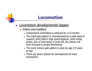 Locomotion
Locomotion developmental stages:
Infant and toddlers
Independent ambulation is attained by 11.5 months
The initial gait pattern is characterized by a wide base of
support; arms held in high guard position, short swing
phase, lack of heel strike or push off, the infants will
learn forward to propel themselves
The more mature gait pattern is seen by age 3-4 years
of age
There are seven phases for development of erect
locomotion:
 