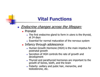 Vital Functions
Endocrine changes across the lifespan:
Prenatal
The first endocrine gland to form in utero is the thyroid,
at 24 days
Essential for normal maturation of the nervous system
Infancy through adolescence
Human Growth Hormone (HGH) is the main impetus for
postnatal growth
Secretion of HGH controls the rate of growth and
development
Thyroid and parathyroid hormones are important to the
growth of bones, teeth, and the brain
Puberty: axillary and pubic hair, menarche, and
testosterone, etc.
 