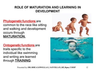 Maturation Human Development Human Development | PDF