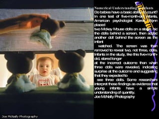 Numerical Understanding in Infants Do babies have a basic ability to count? In one test of five-month-old infants, American psychologist Karen Wynn placed  two Mickey Mouse dolls on a stage, hid the dolls behind a screen, then added another doll behind the screen as the infant watched. The screen was then removed to reveal two, not three, dolls. Infants in the study, like this five-month-old, stared longer  at the incorrect outcome than when three dolls were revealed, indicating surprise at the outcome and suggesting that they expected to see three dolls. Some researchers interpret these findings as evidence that young infants have a simple understanding of quantity. Joe McNally Photography 