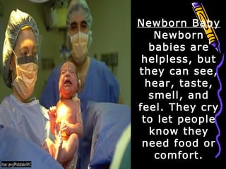 Newborn Baby
Newborn
babies are
helpless, but
they can see,
hear, taste,
smell, and
feel. They cry
to let people
know they
need food or
comfort.
 