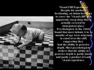 Visual Cliff Experiment Despite his mother ’ s beckoning, an infant hesitates to cross the  “ visual cliff ”— an apparently steep drop that is actually covered by  transparent glass. Psychologists in the 1960s found that most infants 6 to 14 months of age were reluctant to crawl over the cliff, suggesting they  had the ability to perceive depth. Most psychologists believe that the ability to perceive depth is partly innate and partly a product of early visual experience. Depth Perception 