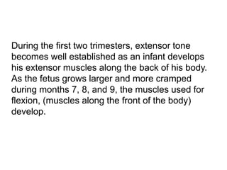 During the first two trimesters, extensor tone
becomes well established as an infant develops
his extensor muscles along the back of his body.
As the fetus grows larger and more cramped
during months 7, 8, and 9, the muscles used for
flexion, (muscles along the front of the body)
develop.
 