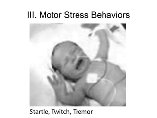 III. Motor Stress Behaviors
 