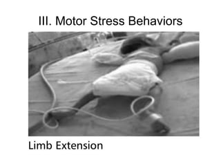 III. Motor Stress Behaviors
 