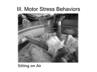 III. Motor Stress Behaviors
 