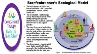 The four sections, from the innermost to the outermost, are
 