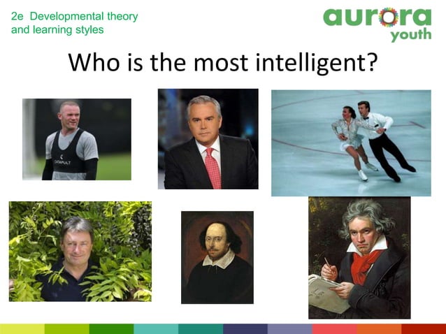 Developmental theory and learning styles | PPT