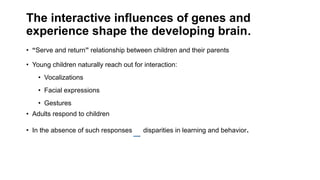 The interactive influences of genes and
experience shape the developing brain.
• “Serve and return” relationship between children and their parents
• Young children naturally reach out for interaction:
• Vocalizations
• Facial expressions
• Gestures
• Adults respond to children
• In the absence of such responses disparities in learning and behavior.
 