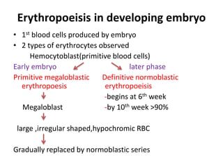 Embryonal Blood Development Development anatomy and physiology of haematopoiesis, hematological ...