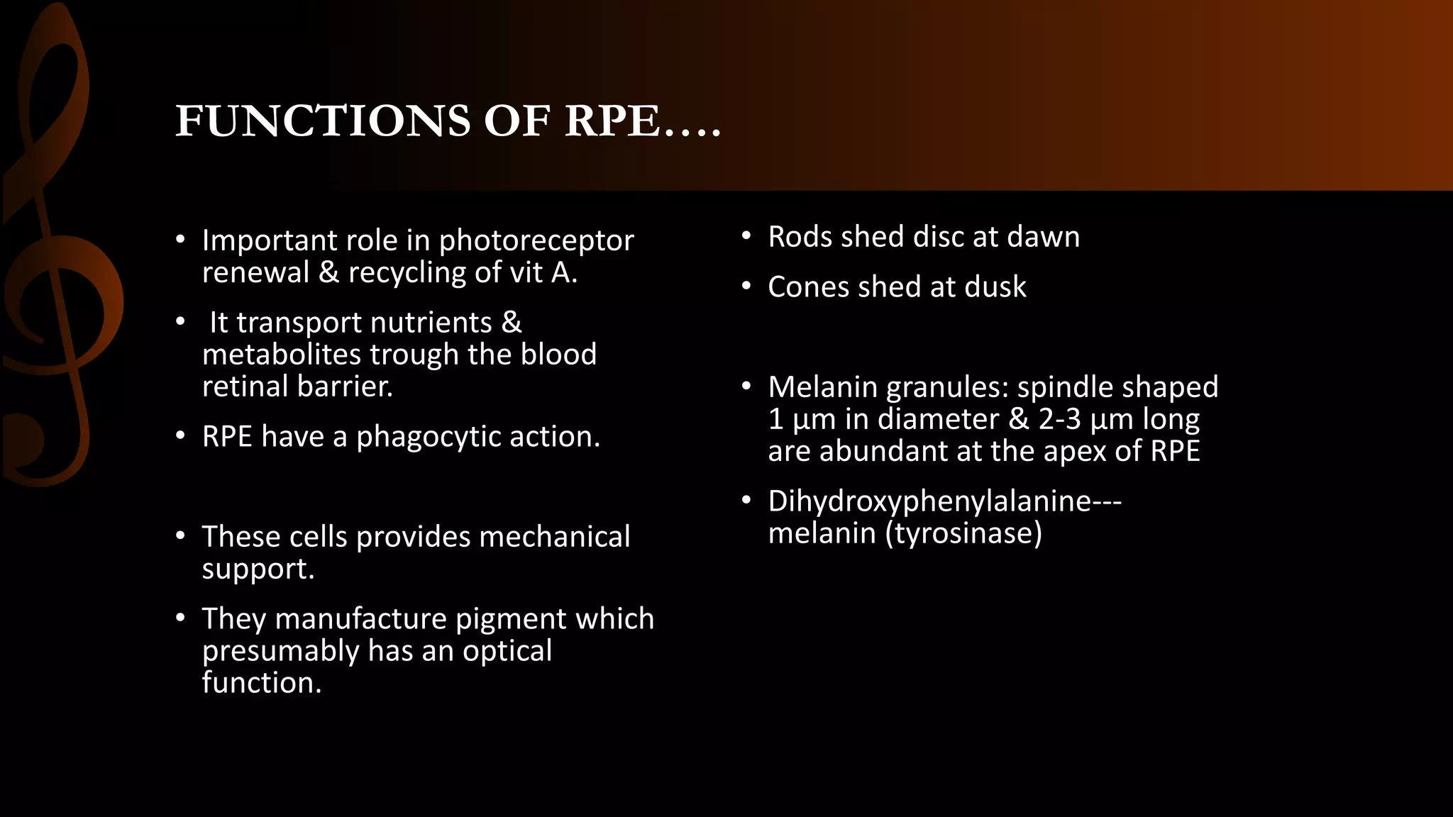 anatomy of retina | PPTX
