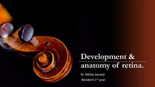 Development &
anatomy of retina.
Dr. Nikita Jaiswal
Resident 1st year
 