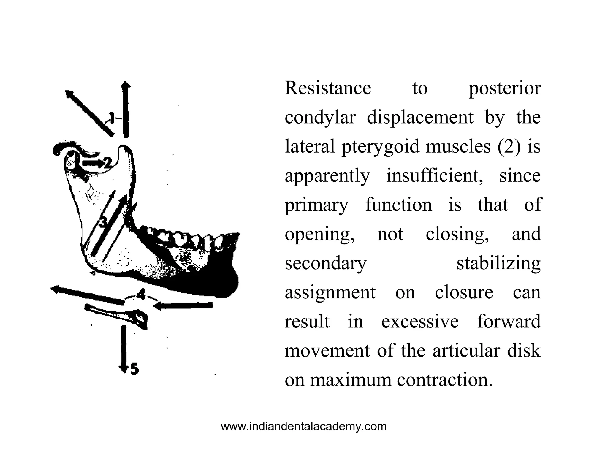 Resistance to posterior
condylar displacement by the
lateral pterygoid muscles (2) is
apparently insufficient, since
primary function is that of
opening, not closing, and
secondary stabilizing
assignment on closure can
result in excessive forward
movement of the articular disk
on maximum contraction.
www.indiandentalacademy.com
 