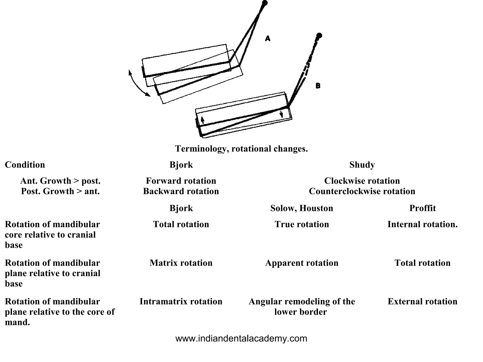 Terminology, rotational changes.
Condition Bjork Shudy
Ant. Growth > post.
Post. Growth > ant.
Forward rotation
Backward rotation
Clockwise rotation
Counterclockwise rotation
Bjork Solow, Houston Proffit
Rotation of mandibular
core relative to cranial
base
Total rotation True rotation Internal rotation.
Rotation of mandibular
plane relative to cranial
base
Matrix rotation Apparent rotation Total rotation
Rotation of mandibular
plane relative to the core of
mand.
Intramatrix rotation Angular remodeling of the
lower border
External rotation
www.indiandentalacademy.com
 