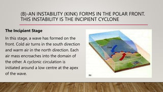 (B)-AN INSTABILITY (KINK) FORMS IN THE POLAR FRONT.
THIS INSTABILITY IS THE INCIPIENT CYCLONE
The Incipient Stage
In this stage, a wave has formed on the
front. Cold air turns in the south direction
and warm air in the north direction. Each
air mass encroaches into the domain of
the other. A cyclonic circulation is
initiated around a low centre at the apex
of the wave.
 