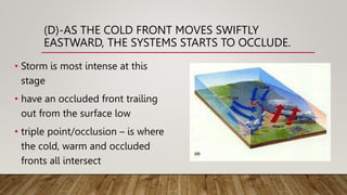 (D)-AS THE COLD FRONT MOVES SWIFTLY
EASTWARD, THE SYSTEMS STARTS TO OCCLUDE.
• Storm is most intense at this
stage
• have an occluded front trailing
out from the surface low
• triple point/occlusion – is where
the cold, warm and occluded
fronts all intersect
 