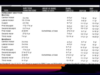 Development and morphology of primary teeth