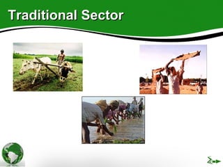 Trade Policies in Developing Countries | PPT