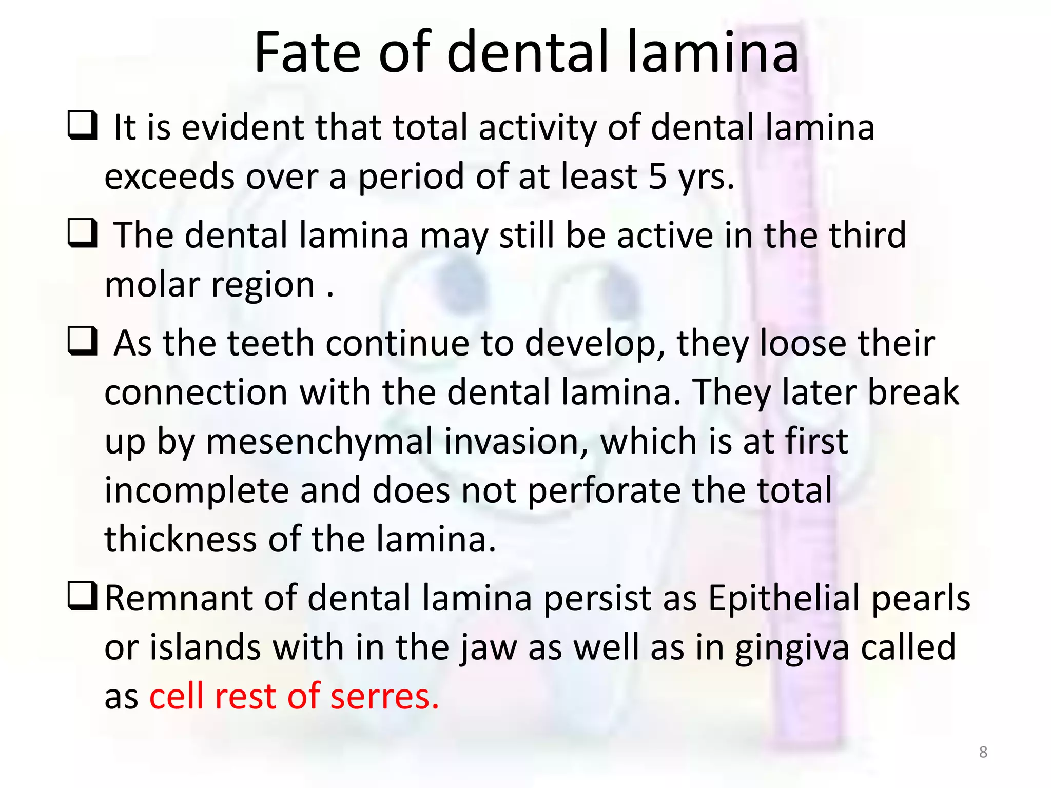 Development ang growth of teeth | PPTX