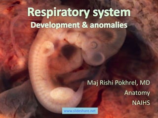 Maj Rishi Pokhrel, MD
Anatomy
NAIHS
www.slideshare.net
 