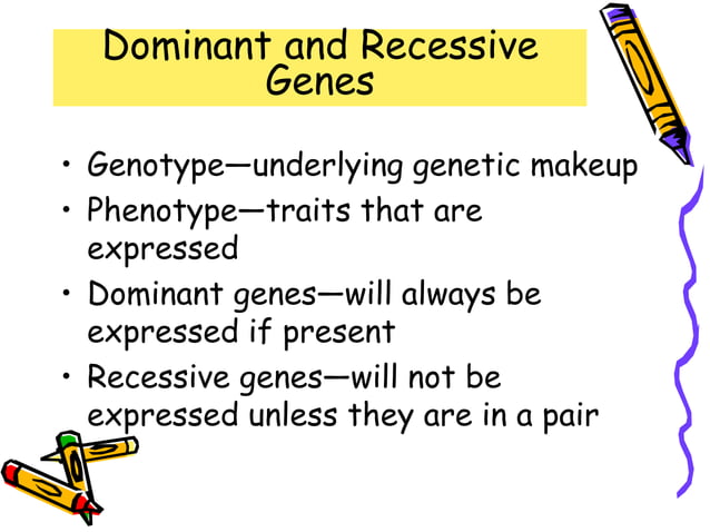 Life Span Developmental stages and details.ppt