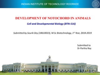 INDIAN INSTITUTE OF TECHNOLOGY ROORKEE
DEVELOPMENT OF NOTOCHORD IN ANIMALS
Submitted by Sourik Dey (18610023), M.Sc Biotechnology, 1st Year, 2018-2019
Cell and Developmental Biology (BTN-516)
Submitted to
Dr Partha Roy
 