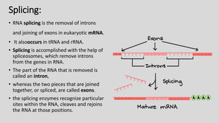 Development biology (rna processing and translational regulation of ...
