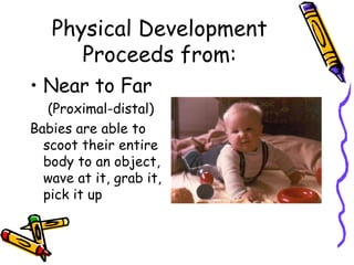 Development During First Year Of Life | PPT