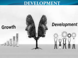DEVELOPMENT
 